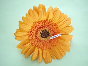 稚魚から育てている安心のふぐです